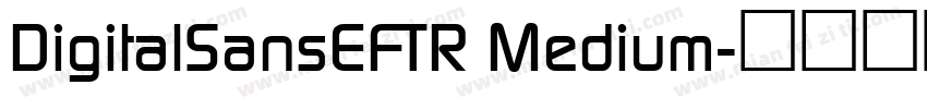 DigitalSansEFTR Medium字体转换